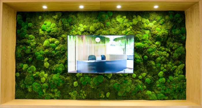 Large living wall inside the Arden marketing suite by Octink
